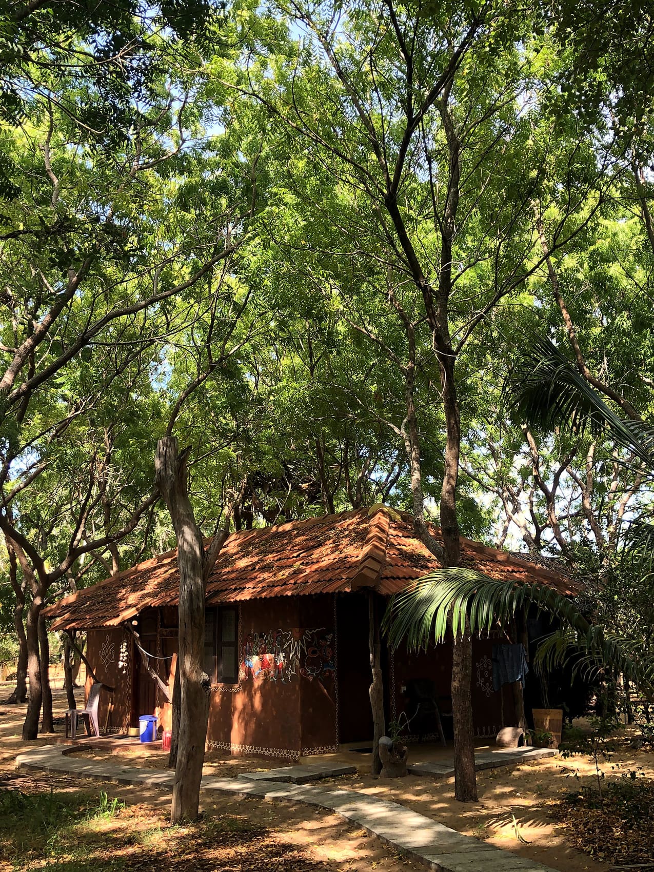 A-frame cabana framed by jungle
