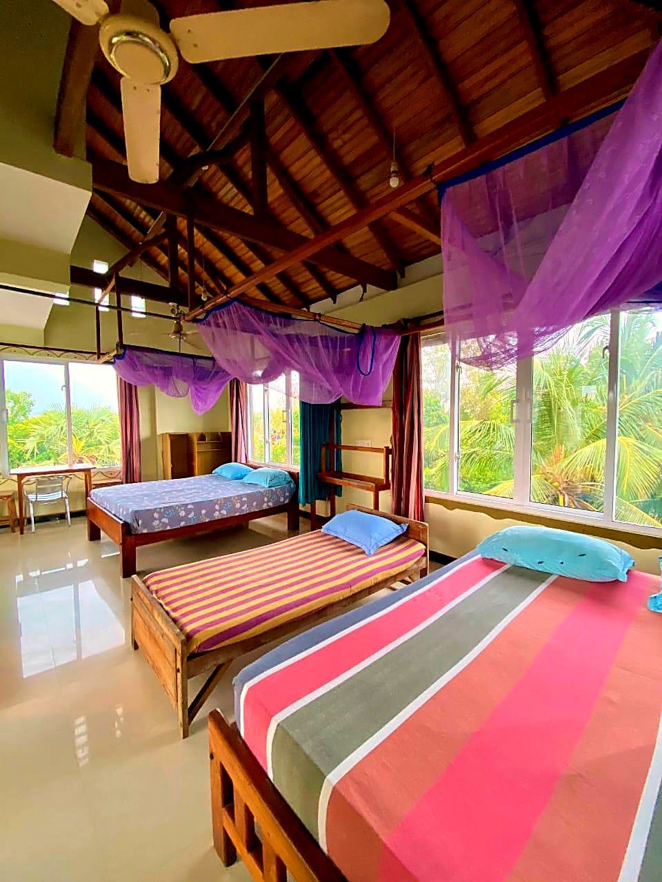 Bed in the bright 6-bed mixed dorm