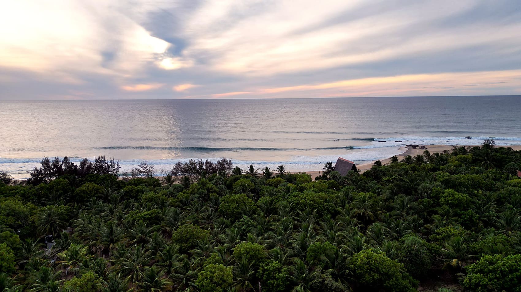 Aerial of the jungle meeting the sea at sunset