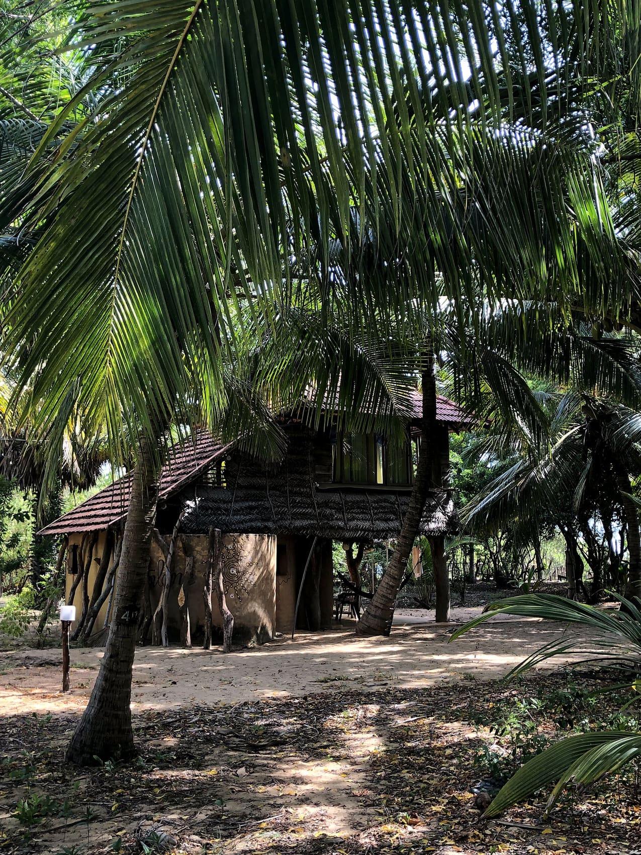 Triple tree house cabana with sea view