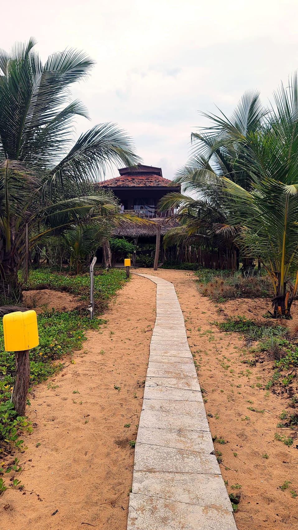 Buffalo Rock beachfront cabana among the trees